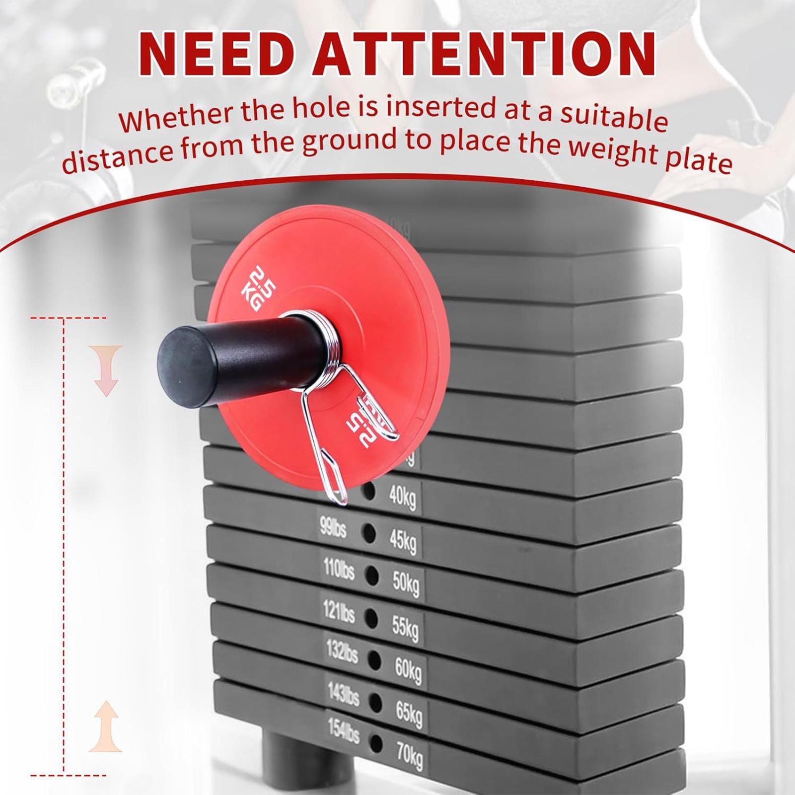 Gym Pin With Spring Clip Colla - đánh giá và giá Home Gym System