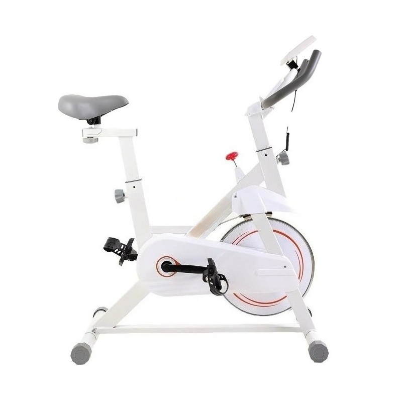 New Professional Spinning Bike - đánh giá và giá Home Gym Layout