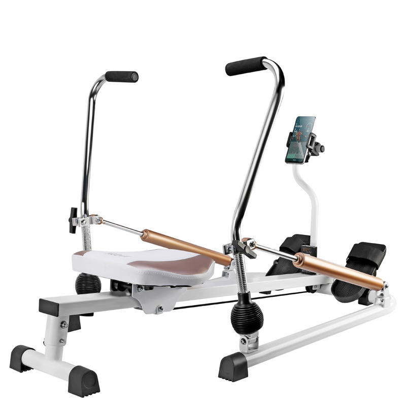 Quiet Smooth Magnetic Rowing M - đánh giá và giá Home Gym In Apartment