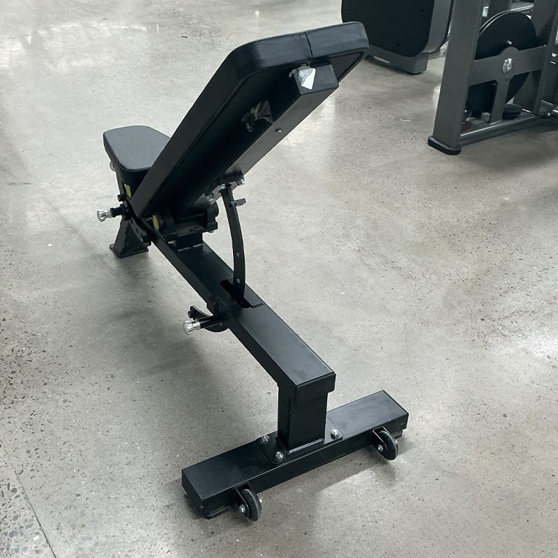 Adjustable Home Gym Dumbbell B - đánh giá và giá Home Gym Full Body